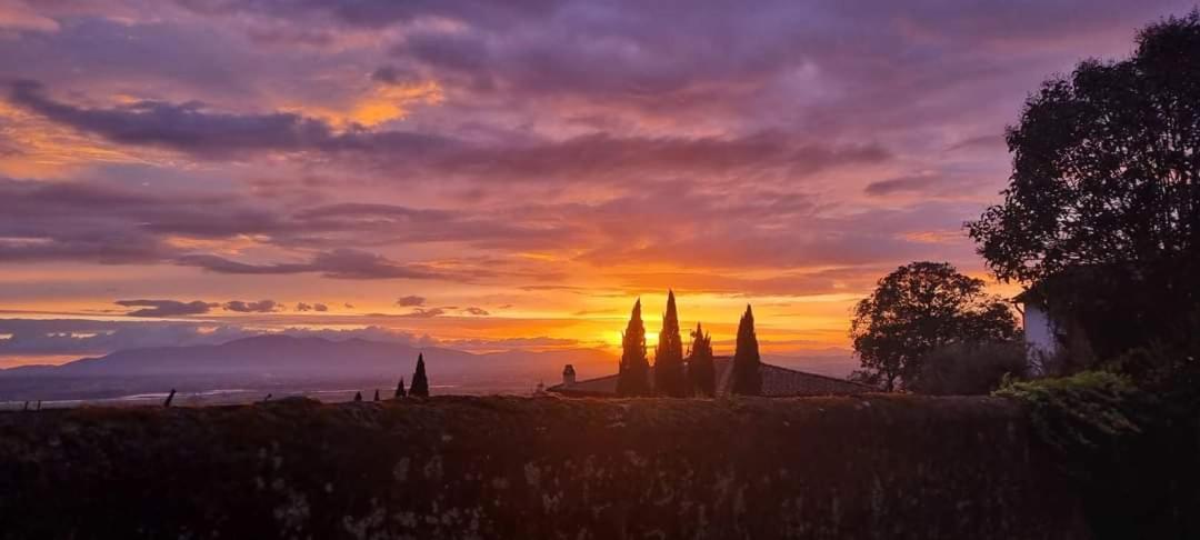 ホテル La Grotta San Michele Montevettolini エクステリア 写真