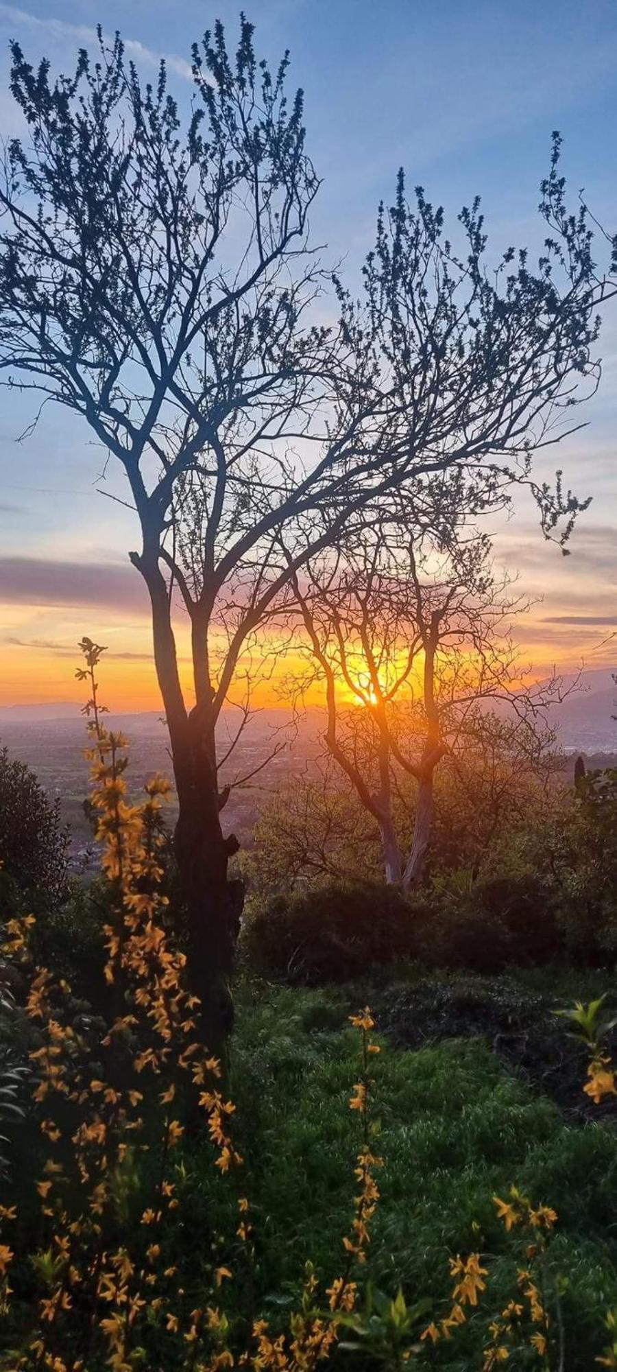 ホテル La Grotta San Michele Montevettolini エクステリア 写真